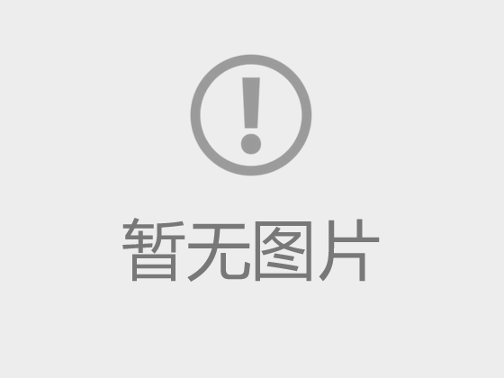 國務院關于進一步做好新形勢下就業創業工作的意見