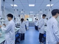 技能比武展風采，校際聯動育英才