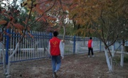 學生志愿服務活動進行時